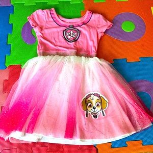 🐶Paw Patrol Skye Toddler Girl Dress size 5T